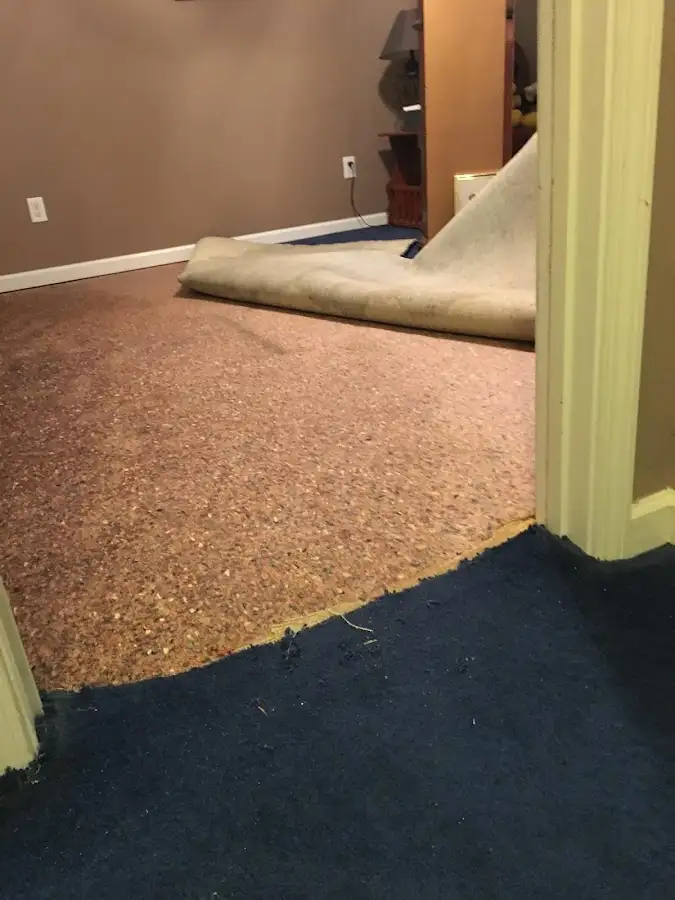 Carpet pad removal revealing water damage during Drying & Dehumidification in Port St. Lucie